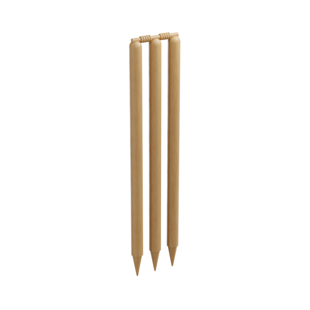 Guichet de cricket