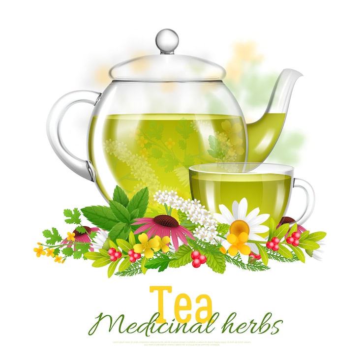 Bezpłatny plik Wektor teapot i herbacianej filiżanki ziele lecznicza ilustracja