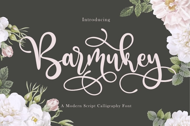 Barmukey