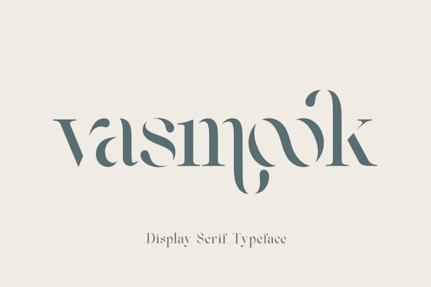 Vasmook