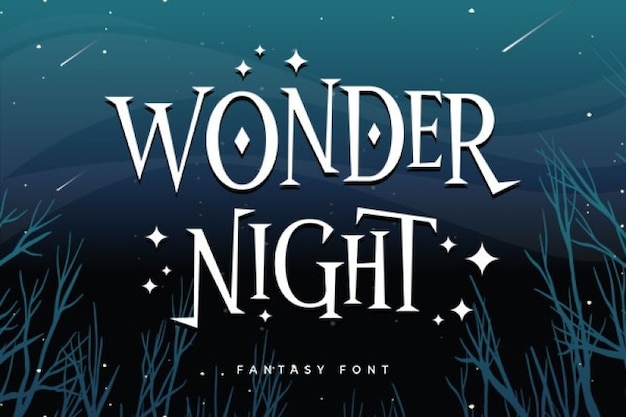 Wonder Night