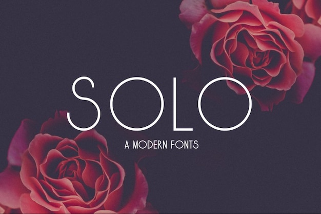 Solo