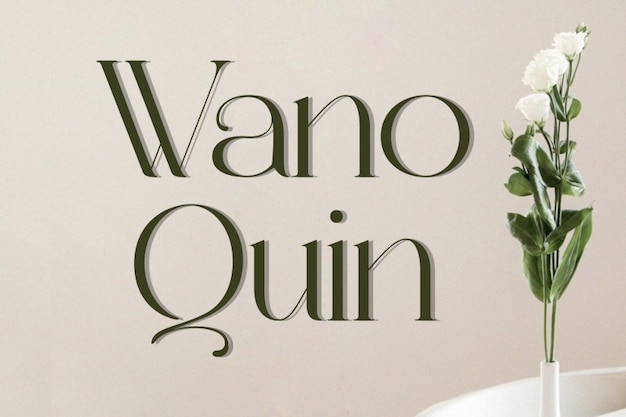 Wano Quin