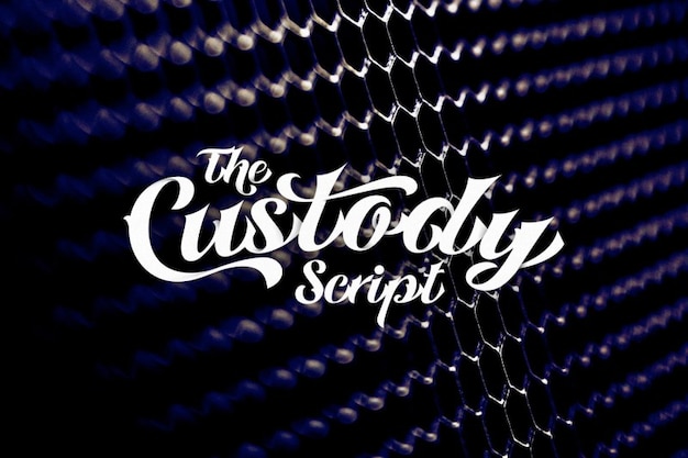 Custody