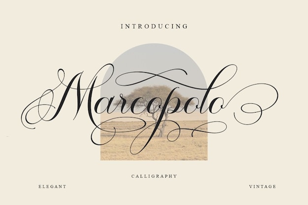 Marcopolo