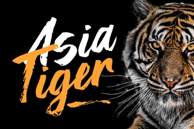 Asia Tiger