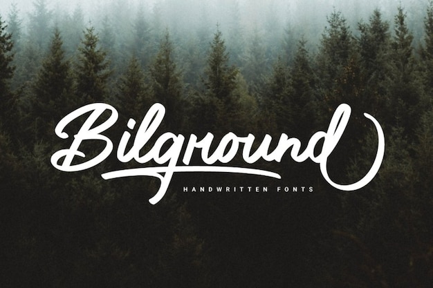 Bilground