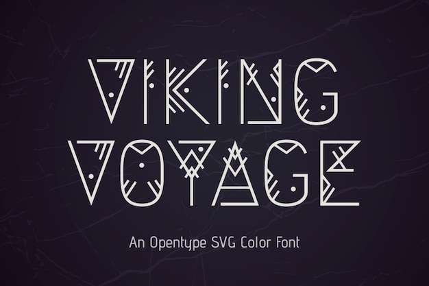 Viking Voyage