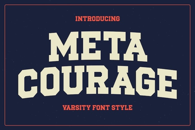 Meta Courage