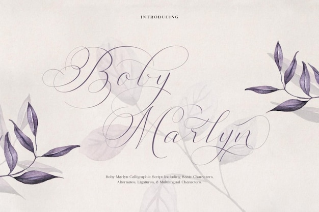 Boby Marlyn