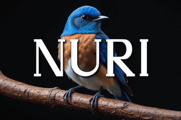 Nuri