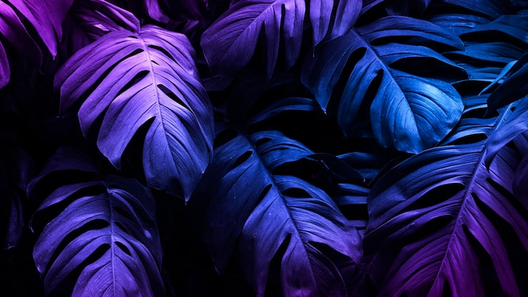 Foto gratuito banner de hoja de monstera tropical neón