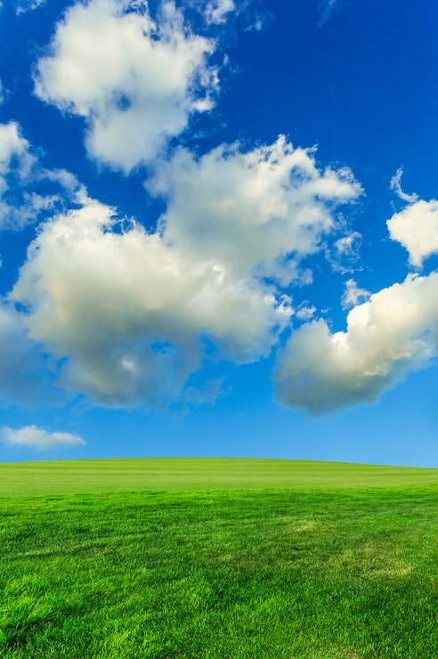 Foto gratuito cielo azul y nubes blancas