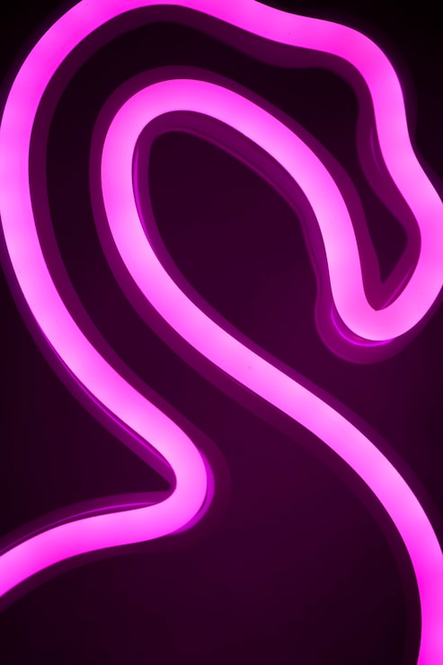 Photo Gratis close up pada lampu neon flamingo di kamar tidur