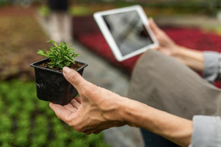 Photo Gratis close up wanita memeriksa pertumbuhan tanaman dan menggunakan touchpad saat bekerja di pembibitan tanaman
