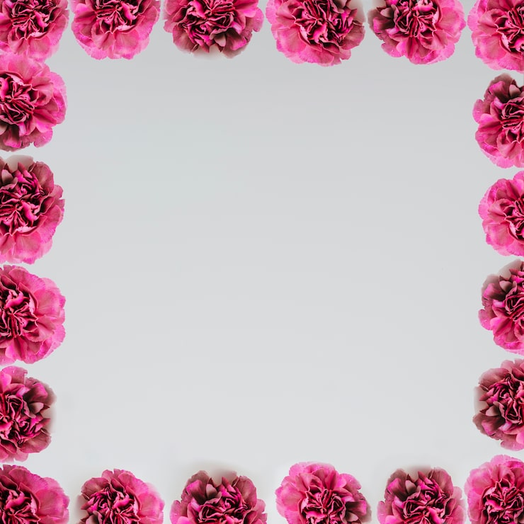 Foto gratuito concepto de marco con rosas