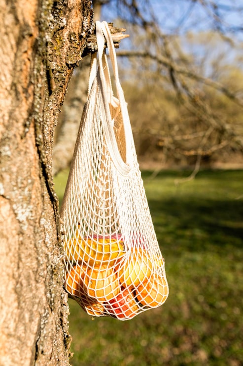 Foto gratuito fruta en una bolsa dejada en un árbol
