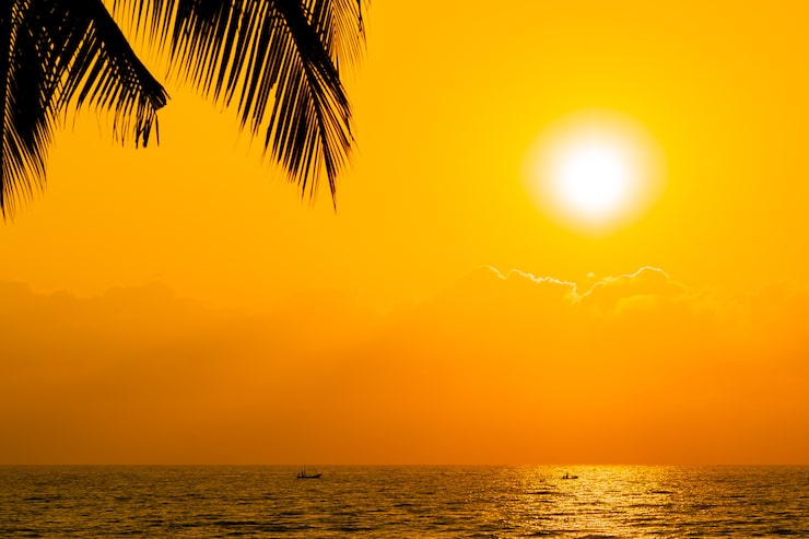 Foto gratuito hermosa silueta de palmera de coco en el cielo de la playa del océano cerca del mar al atardecer o al amanecer