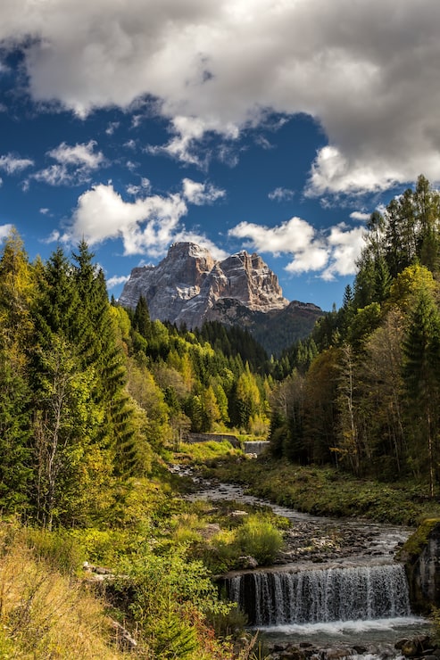 Foto gratuito imagen vertical de un río en un bosque con rocas bajo un cielo nublado