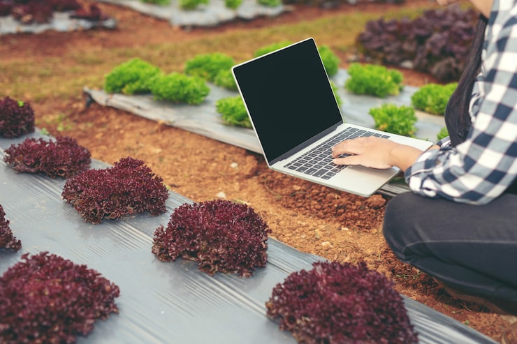 Photo Gratis inspeksi kualitas kebun sayur oleh petani