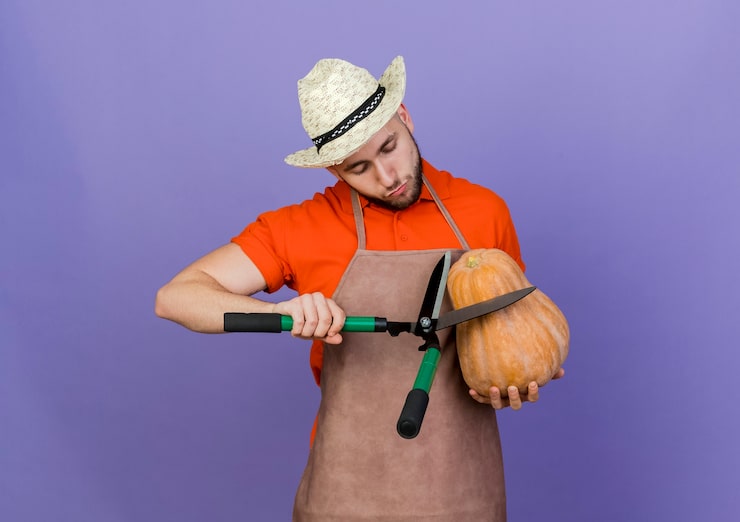 Foto gratuito jardinero masculino complacido vistiendo sombrero de jardinería sostiene tijeras y mira calabaza