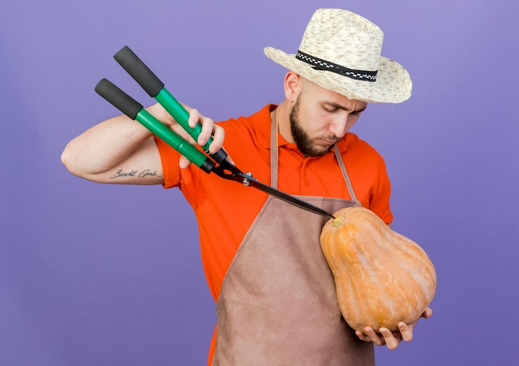 Foto gratuito jardinero masculino confiado con sombrero de jardinería sostiene tijeras y mira calabaza