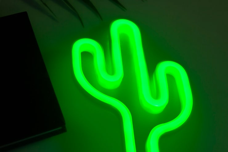Photo Gratis kaktus neon yang indah di kamar tidur
