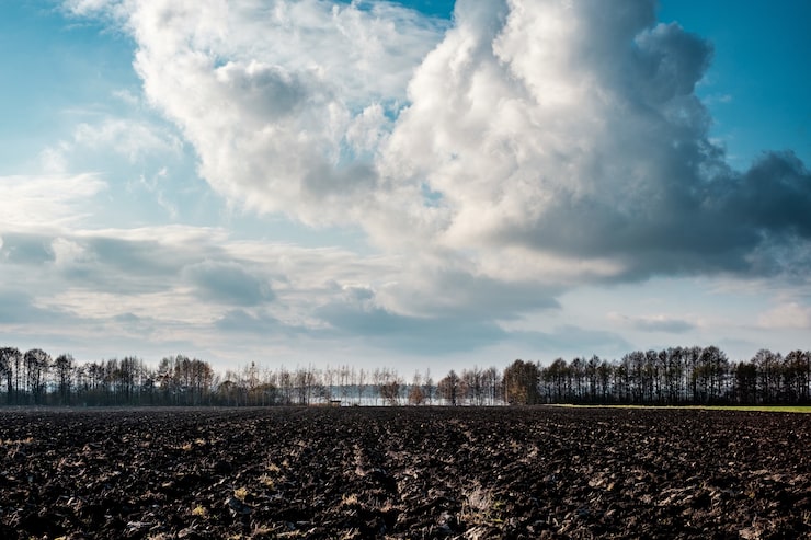 Photo Gratis kolom
