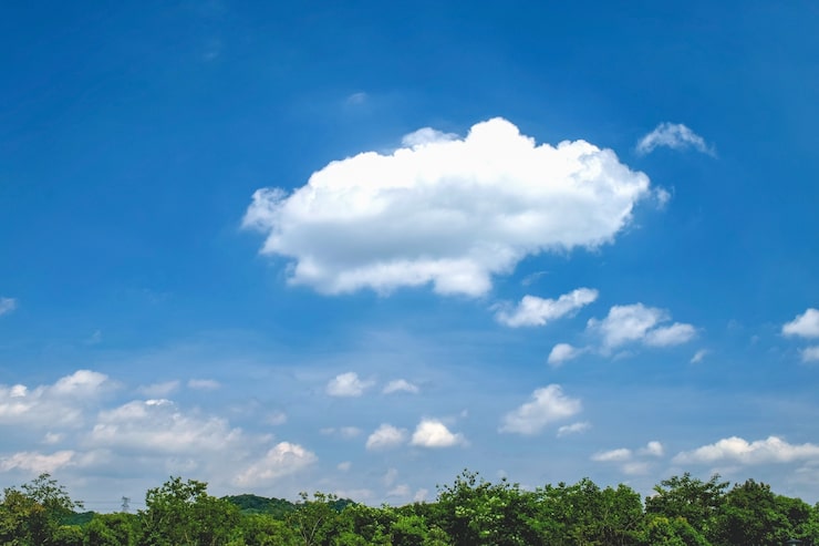 Photo Gratis langit dengan awan dan pepohonan