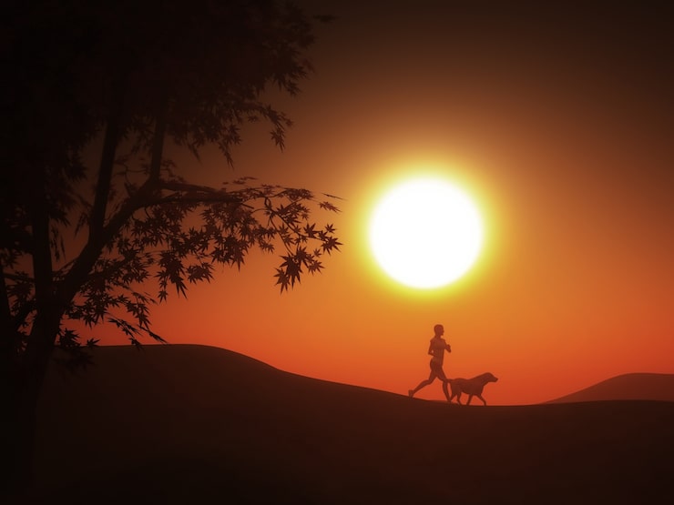 Foto gratuito mujer haciendo deporte al atardecer