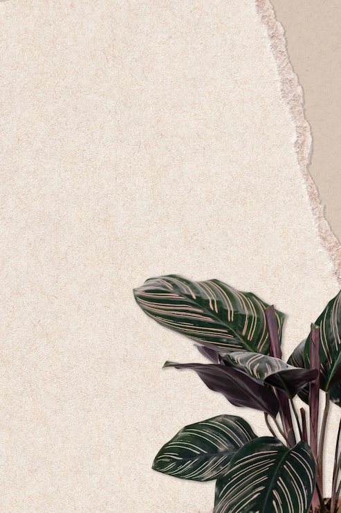 Foto gratuito nota de papel rasgado con planta verde