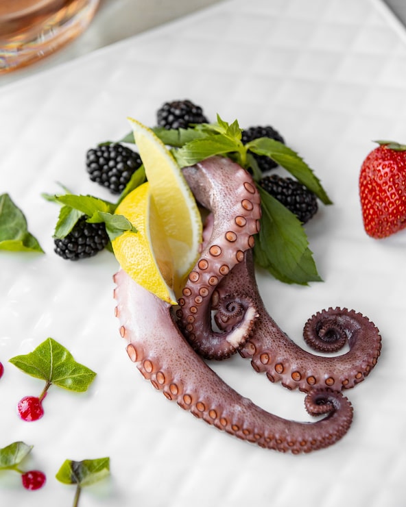 Foto gratuito patas de pulpo con limón, menta y bayas.