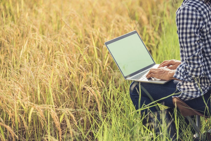 Photo Gratis petani di sawah dengan laptop