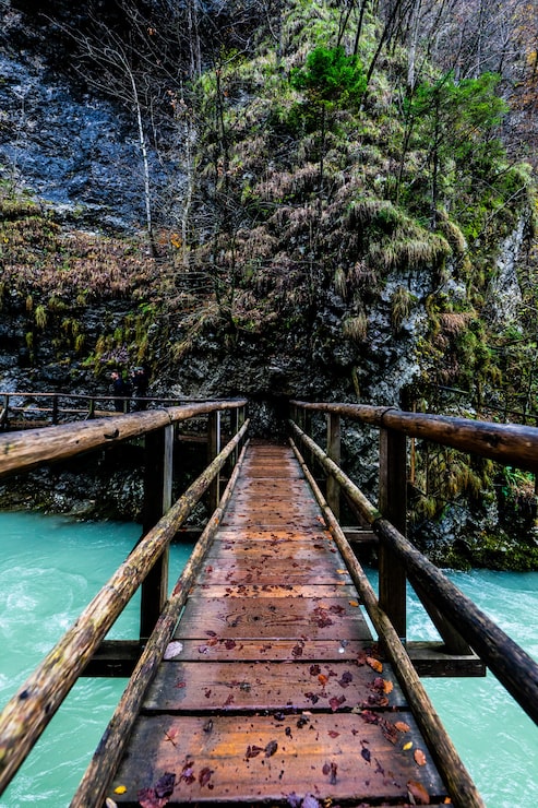 Foto gratuito punto de vista filmado en un puente colgante sobre un río en un bosque
