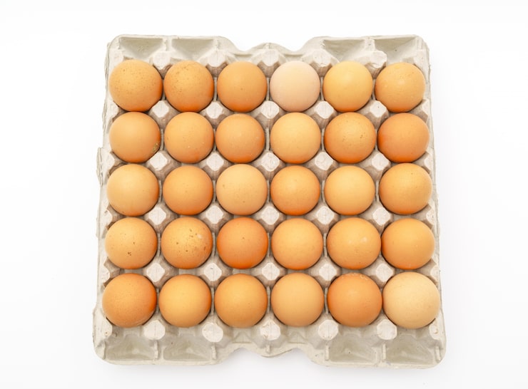 Photo Gratis telur segar dalam kemasan dengan latar belakang putih.