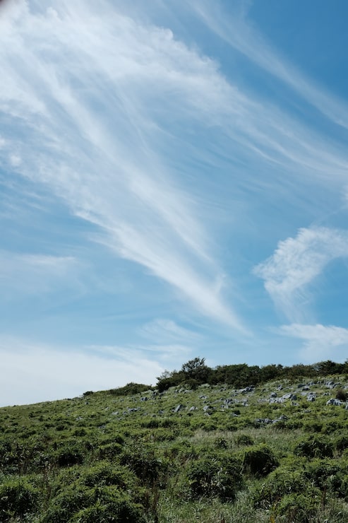 Foto gratuito tiro vertical de rocas en una colina cubierta de hierba y plantas bajo un cielo azul