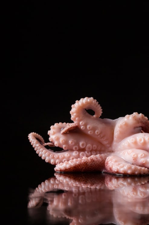 Foto gratuito vista frontal de pulpo fresco en la mesa