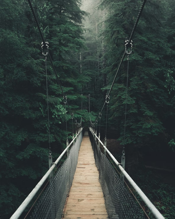 Foto gratuito vista de un puente colgante estrecho en un hermoso bosque espeso