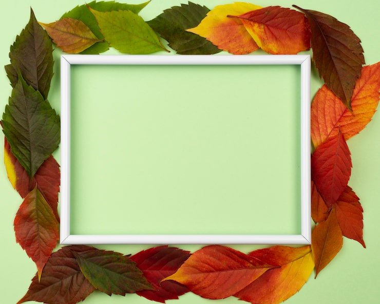 Foto gratuito vista superior de hermosas hojas de otoño con marco y espacio de copia
