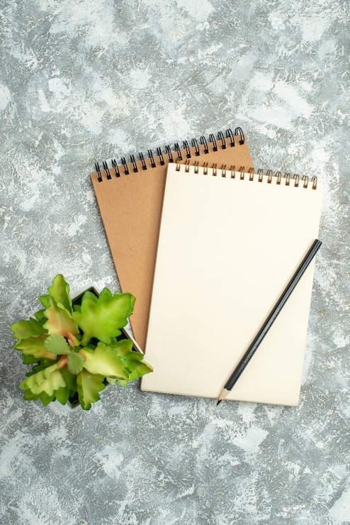 Foto gratuito vista vertical de dos cuadernos de espiral kraft con bolígrafo y maceta sobre fondo de hielo