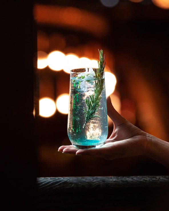Foto gratuito bevanda bianca blu dell'alcool con un ramo di rosmarino nella mano.