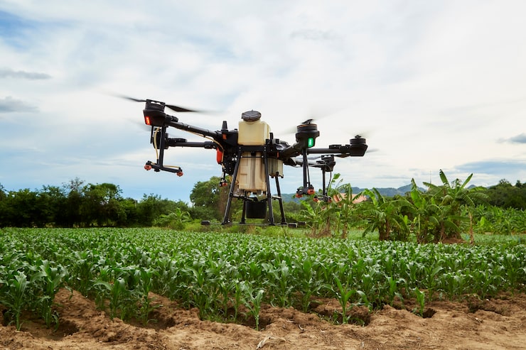 Photo pertanian cerdas drone pertanian terbang untuk menyemprot di ladang jagung, petani menyemprotkan insektisida dengan drone pertanian