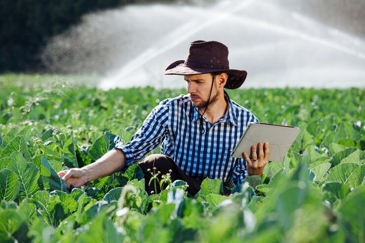 Photo petani, ahli agronomi, pekerja matahari memeriksa komputer tablet digital, perkebunan, teknologi, topi, sistem penyiram air