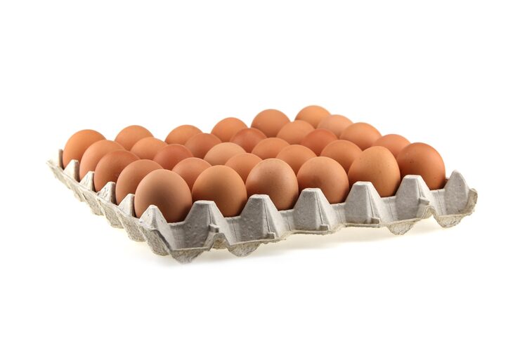 Photo telur dalam kotak karton. close up coklat segar tiga puluh (30) telur ayam dalam kemasan terisolasi di latar belakang putih.