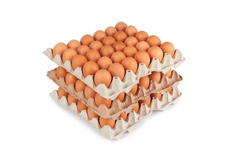 Photo telur dalam nampan pater