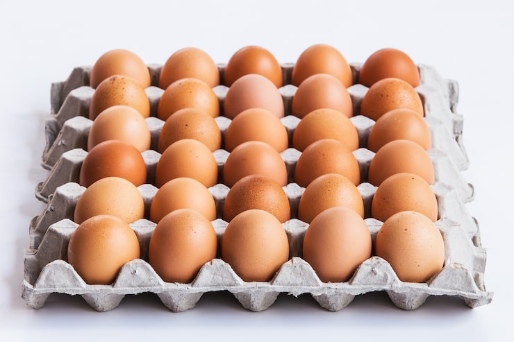Photo telur dalam panel