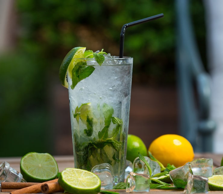 Foto grátis copo de coquetel de mojito com pedaços de gelo, folhas de hortelã fresca e fatias de limão com tubo