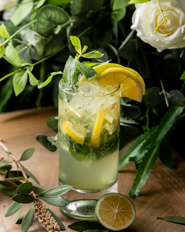 Foto grátis coquetel mohito com limão e hortelã