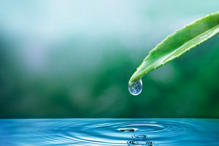 Foto grátis ecossistema gota de água natureza de fundo para a campanha do dia da terra