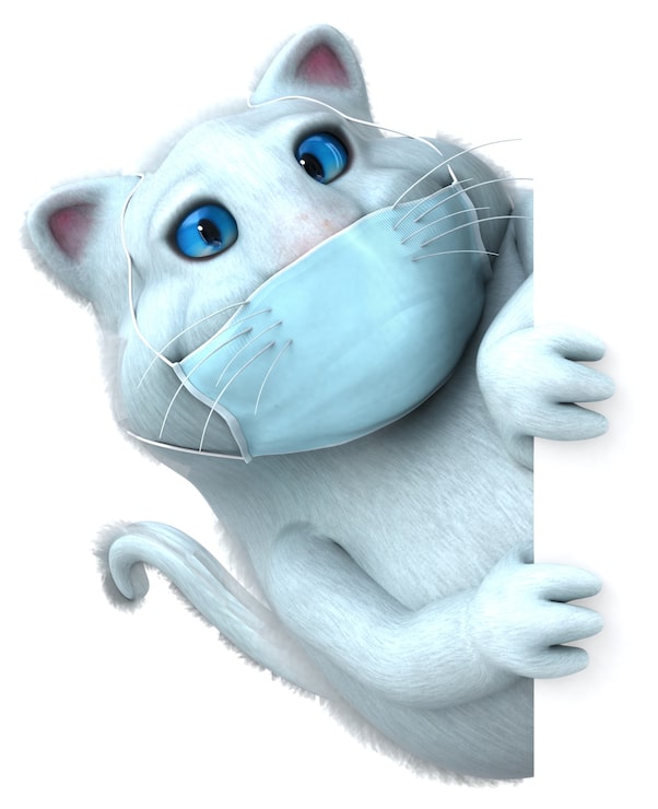 Foto grátis gato divertido de desenho animado em 3d com máscara